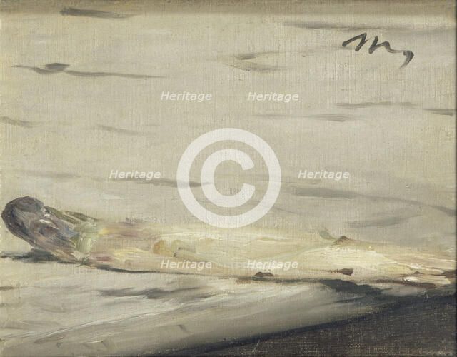 Asparagus, 1880. Artist: Manet, Édouard (1832-1883)