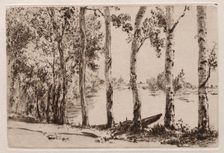 Aspens on the Bank of the Seine. Creator: Félix Bracquemond (French, 1833-1914)