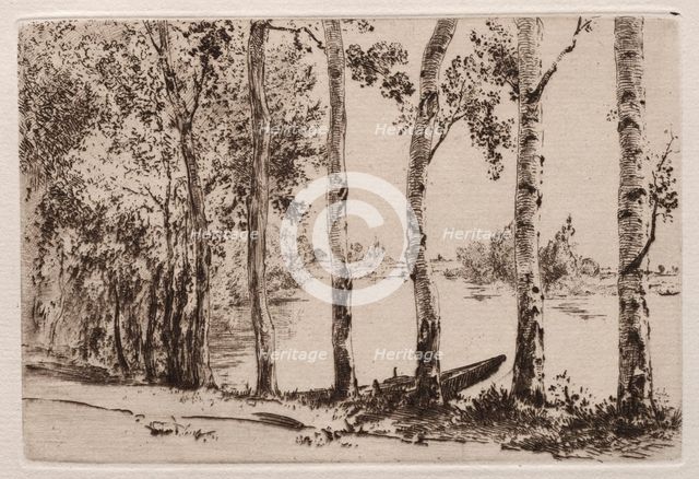 Aspens on the Bank of the Seine. Creator: Félix Bracquemond (French, 1833-1914).