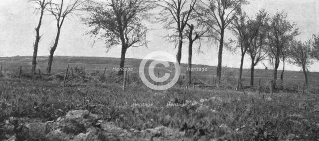 'Aspects du champ de bataille de Verdun; La route, plantee d'arbres d'Esnes a Bethincourt..., 1916. Creator: Unknown.
