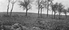 Aspects du champ de bataille de Verdun; La route, plantee d'arbres d'Esnes a Bethincourt..., 1916. Creator: Unknown