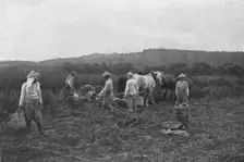 Aspects imprevus de la campage Francaise: les indo-chinois aux champs 1916. Creator: Unknown