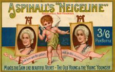 Aspinall's Neigeline, 1900