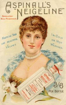 Aspinall’s Neigeline, 19th century