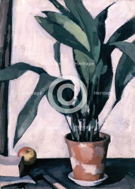 Aspidistra, 1927. Creator: Samuel John Peploe.