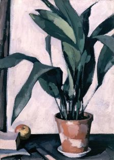 Aspidistra, 1927. Creator: Samuel John Peploe