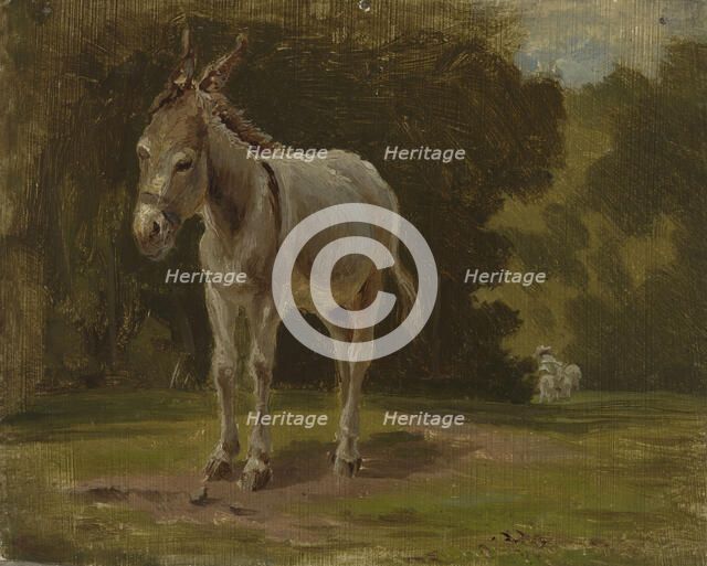 Ass, 1854. Creator: Werner Holmberg.