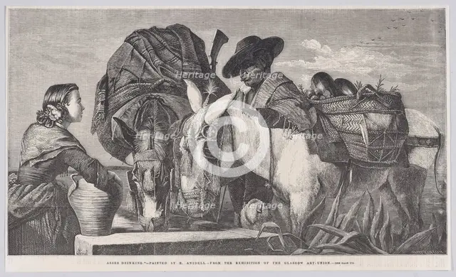 Asses Drinking, from "Illustrated London News", March 13, 1858. Creator: Henry Duff Linton.