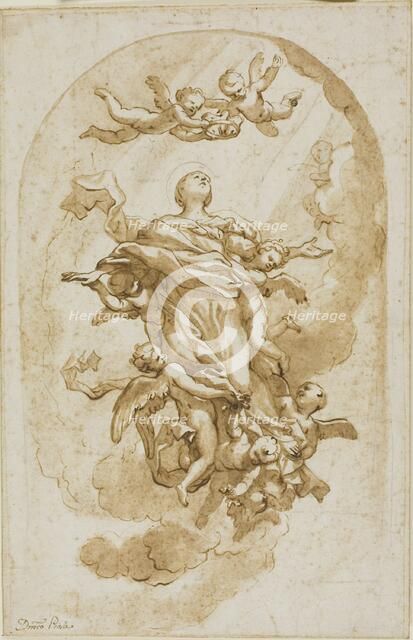 Assumption of the Virgin, n.d. Creator: Domenico Piola I.