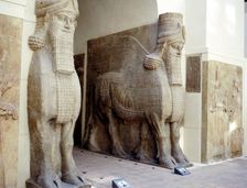 Assyrian sculptures of human-headed winged bulls at the palace gateway, Khorsabad, c8th century BC