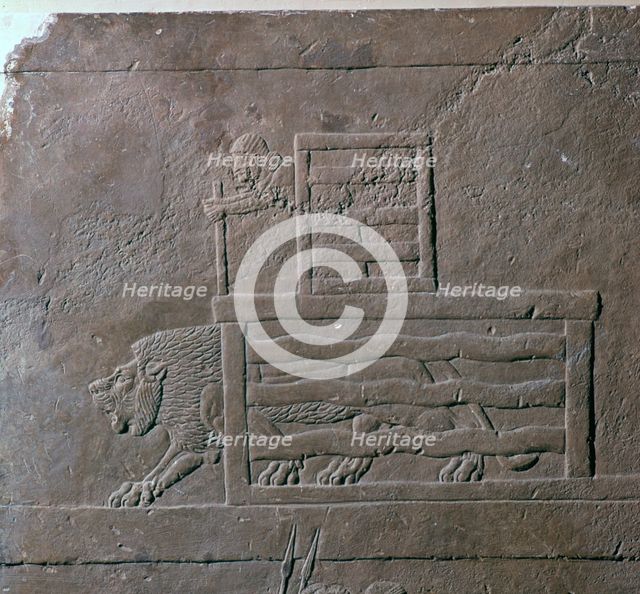 Assyrian relief of a lion being released from a cage for a hunt, 7th century. Artist: Unknown