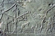 Assyrian relief of a military camp