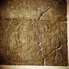 Assyrian relief of a Sacred tree flanked by two winged genies