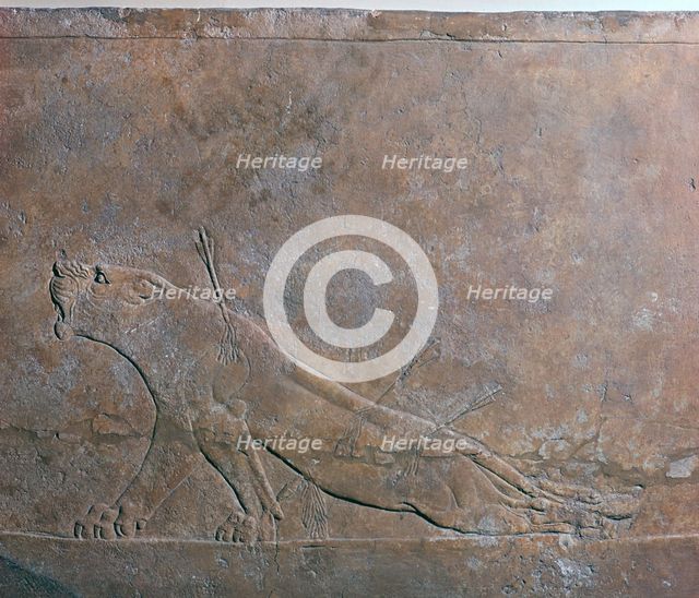 Assyrian relief of a wounded lioness from Ashurbanipal, 7th century. Artist: Unknown