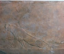 Assyrian relief of a wounded lioness from Ashurbanipal, 7th century
