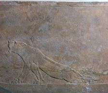 Assyrian relief of a wounded lioness from Ashurbanipal, 7th century