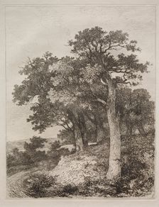At Colney. Creator: John Crome (British, 1768-1821)