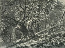 At Coney Hill, Hayes Common, Kent c1870