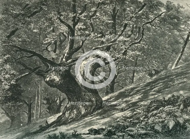 'At Coney Hill, Hayes Common, Kent', c1870.