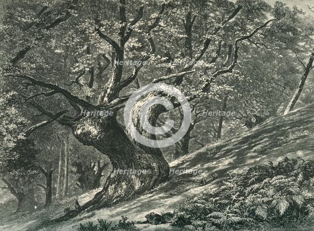 'At Coney Hill, Hayes Common, Kent', c1870.