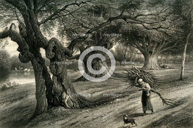 'At Burnham Beeches', c1870.