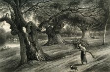 At Burnham Beeches c1870