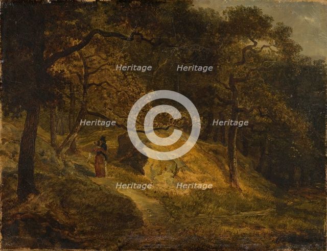 At Djurgården in Stockholm. Creator: Johann Christian Michael Ezdorf.