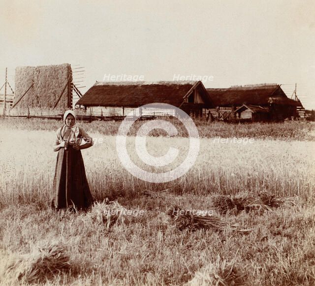 At harvest. Near the village of Byche, 1912. Creator: Sergey Mikhaylovich Prokudin-Gorsky.