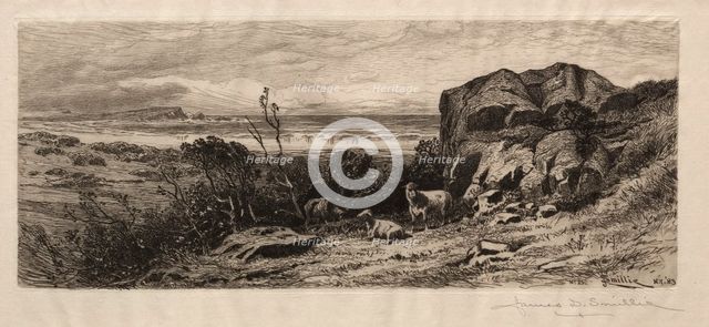 At Marblehead Neck, 1883. Creator: James David Smillie (American, 1833-1909).
