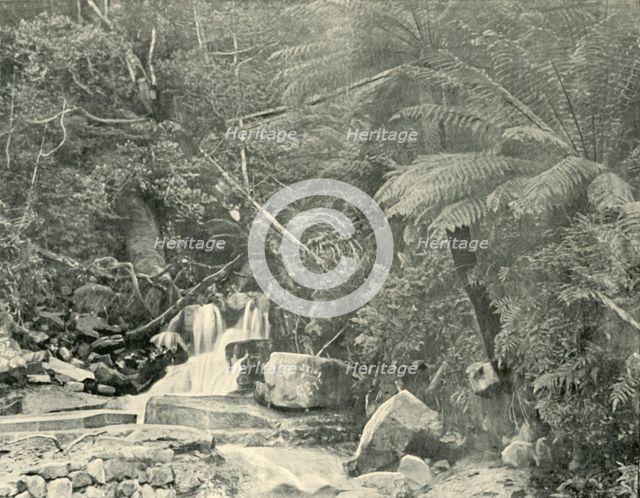 'At St. Crispin's Well', 1901. Creator: Unknown.