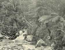 At St. Crispin's Well 1901. Creator: Unknown