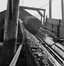 At Pelican Bay Lumber mill logs enter the mill by...near Klamath Falls, Klamath County, Oregon, 1939 Creator: Dorothea Lange