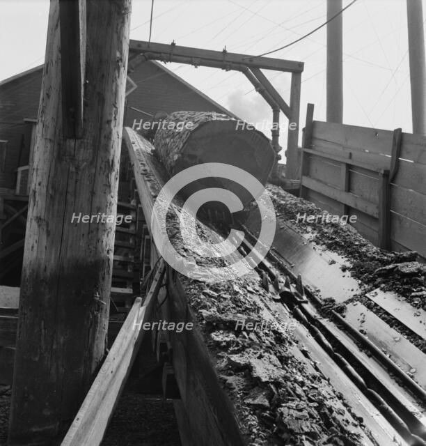 At Pelican Bay Lumber mill logs enter the mill by...near Klamath Falls, Klamath County, Oregon, 1939 Creator: Dorothea Lange.