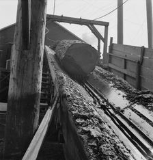 At Pelican Bay Lumber mill logs enter the mill by...near Klamath Falls, Klamath County, Oregon, 1939 Creator: Dorothea Lange