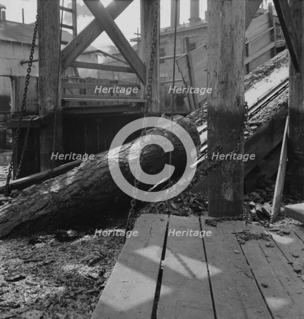At Pelican Bay Lumber mill logs enter..., near Klamath Falls, Klamath County, Oregon, 1939 Creator: Dorothea Lange.