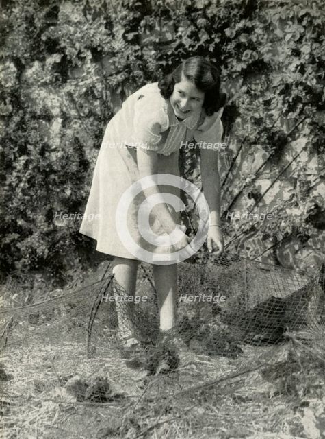 'At Work in Her Garden - Windsor, 1941', 1947. Creator: Unknown.