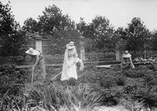 At work on Mrs. Belmont's Farm for girls, between c1910 and c1915. Creator: Bain News Service