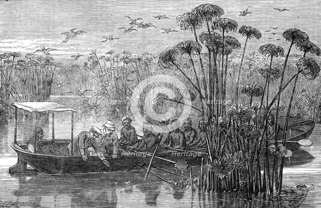 At the mouth of the Rusizi, Lake Tanganyika, 1872. Creator: J. B. Zwicken.