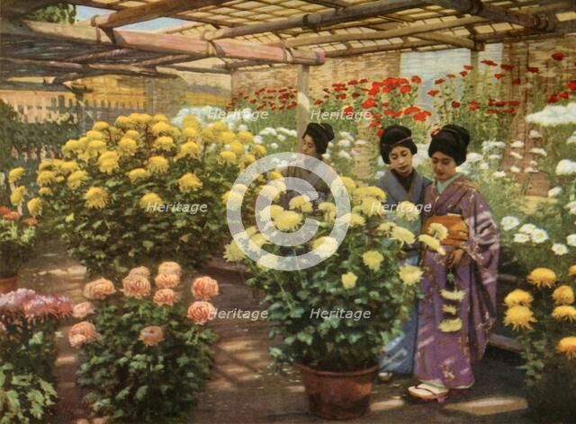 'At the Chrysanthemum Show', 1910. Creator: Herbert Ponting.