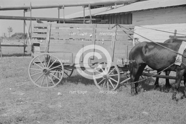 At the cotton gin, Cotton gin and wagons, Hale County, Alabama, 1936. Creator: Walker Evans.