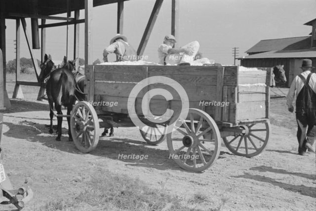 At the cotton gin, Cotton gin and wagons, Hale County, Alabama, 1936. Creator: Walker Evans.