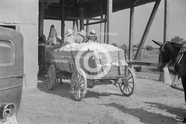 At the cotton gin, Cotton gin and wagons, Hale County, Alabama, 1936. Creator: Walker Evans.