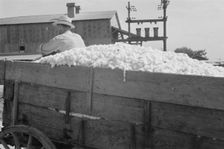 At the cotton gin, Cotton gin and wagons, Hale County, Alabama, 1936. Creator: Walker Evans