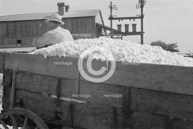 At the cotton gin, Cotton gin and wagons, Hale County, Alabama, 1936. Creator: Walker Evans.