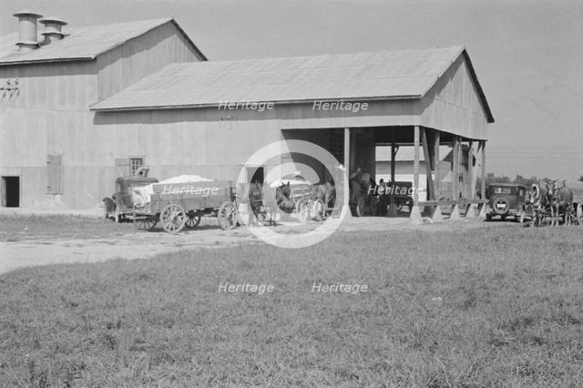 At the cotton gin, Cotton gin and wagons, Hale County, Alabama, 1936. Creator: Walker Evans.