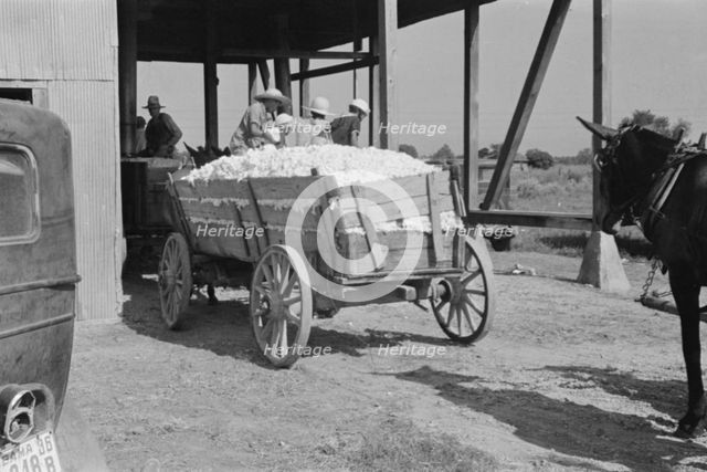 At the cotton gin, Cotton gin and wagons, Hale County, Alabama, 1936. Creator: Walker Evans.