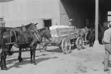 At the cotton gin, Cotton gin and wagons, Hale County, Alabama, 1936. Creator: Walker Evans