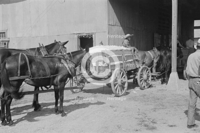 At the cotton gin, Cotton gin and wagons, Hale County, Alabama, 1936. Creator: Walker Evans.