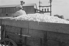 At the cotton gin, Cotton gin and wagons, Hale County, Alabama, 1936. Creator: Walker Evans