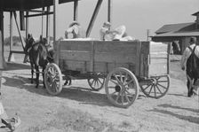 At the cotton gin, Cotton gin and wagons, Hale County, Alabama, 1936. Creator: Walker Evans